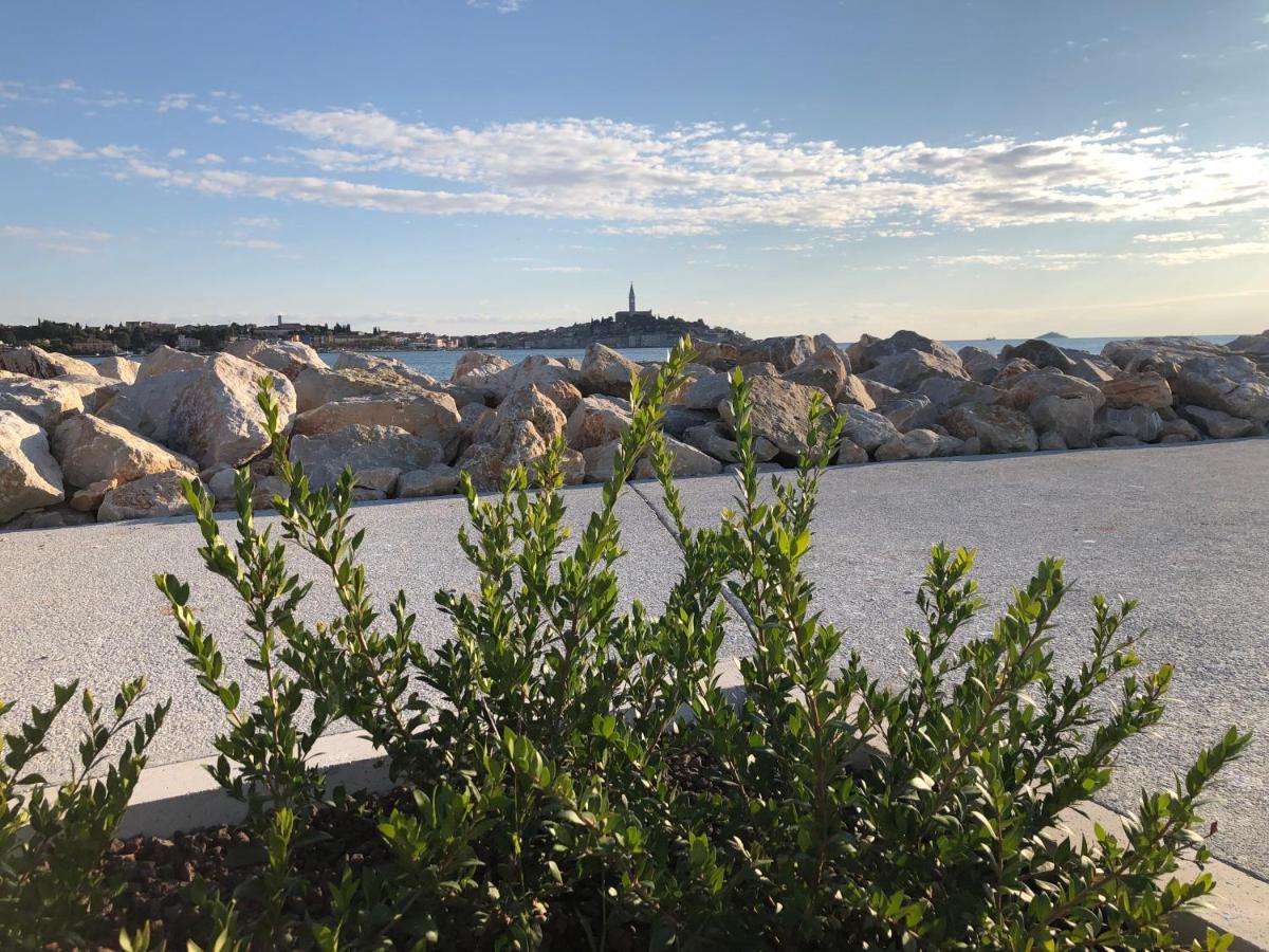 Total Escape Mobile Home Nera Camp Porton Biondi โรวีน ภายนอก รูปภาพ